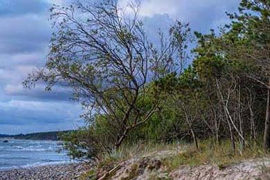 一脱未成名多次拒绝潜规则嫁普通丈夫9年后43岁万茜又火了