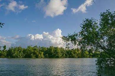 一脱未成名多次拒绝潜规则嫁普通丈夫9年后43岁万茜又火了